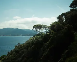 Bruno Viaggi e Turismo