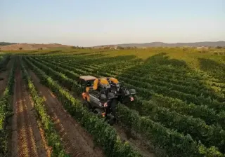 Azienda Vinicola Bruni