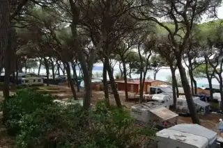 Camping Pineta del Golfo